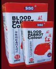 Blood Parrot Color 