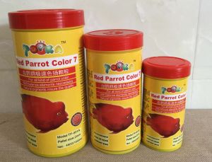 TOPKA Red Parrot Color 