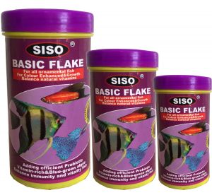 Basic Flake 