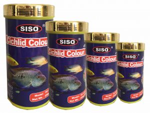 Cichlid Colour 