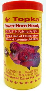 FLOWER HORN HEADY 