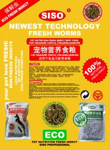 NEW TECHNOLOGY FRESH MEALWORMS 